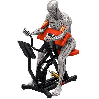 Workout illustration